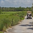 Hammock Bay is one of two of the Marco Island Marriott Resorts golf courses. It's a beautiful golf course that takes advantage of the surrounding natural terrain to provide the golfer with a challenging yet visually stimulating golfing experience. 